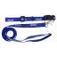Reflex Blue