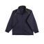 Navy / Gold