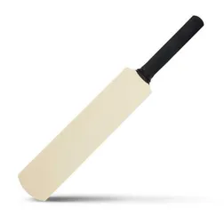 Willow Wood Mini Cricket Bat Signature Collectible