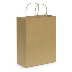 Large Kraft Paper Carry Bag with Paper Rope Handles