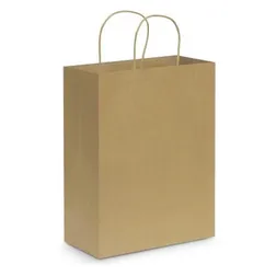 Large Kraft Paper Carry Bag with Paper Rope Handles