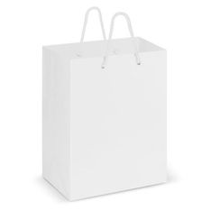 Medium Gloss Laminated Paper Carry Bag with Rope Handles