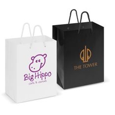Gloss Laminated Art Paper Bags With Rope Handles