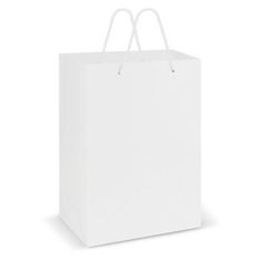 Premium Gloss Laminated Art Paper Carrier Bag with Rope Handles