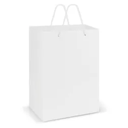 Premium Gloss Laminated Art Paper Carrier Bag with Rope Handles