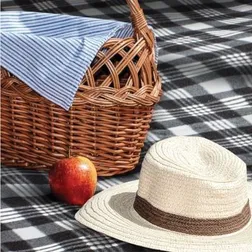 Water Resistant Poly Fleece Outdoor Blanket