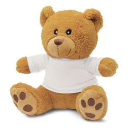 RPET Filled Sustainable Teddy Bear with Branded T-Shirt