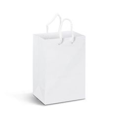 Small Gloss Laminated Paper Carry Bag with Rope Handles