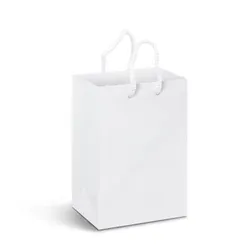 Small Gloss Laminated Paper Carry Bag with Rope Handles