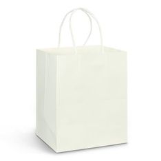 Medium Kraft Paper Carry Bag with Rope Handles
