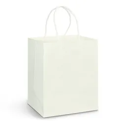 Medium Kraft Paper Carry Bag with Rope Handles