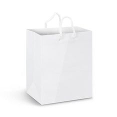Medium Gloss Laminated Paper Carry Bag with Rope Handles