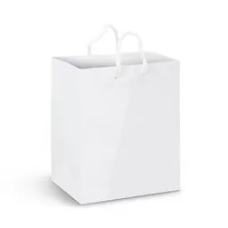 Medium Gloss Laminated Paper Carry Bag with Rope Handles