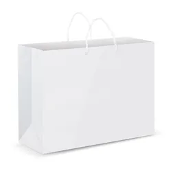 Extra Large Laminated Paper Carry Bag with Polypropylene Rope Handles