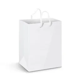 Large Capacity Gloss Laminated Paper Carry Bag with Rope Handles