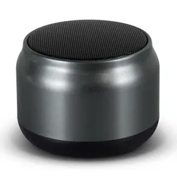 Auris 3W Bluetooth Speaker with Hands Free Calling