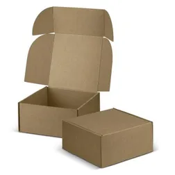 Die Cut Corrugated Gift Box with Hinged Locking Lid