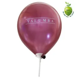 Biodegradable Metallic Latex Balloons with Stick Assembly