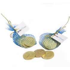 Mesh Bag Six Milk Chocolate Coins with Full Colour Tag
