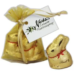 CCE026 Gold Lindt Bunny Branded Easter Eggs - 2 x 10g