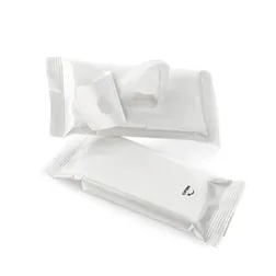 Resealable Alcohol Free Antibacterial Wipes 10 Pack