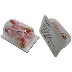 CCX005 Biz Card Treats With Candy Canes - 45g