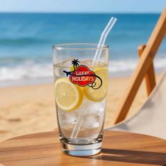 Taro Borosilicate Single Wall Beer Tumbler 380ml