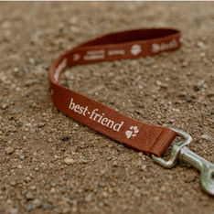Custom Printed Polyester Dog Leash 19mm Wide