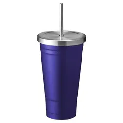 Aqua Stainless Steel Vacuum Insulated 500ml Drink Tumbler