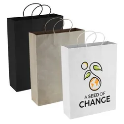 Eco Friendly Kraft Paper Shopping Bag with Rope Handles