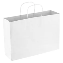 Medium Kraft Paper Carry Bag with Paper Rope Handles