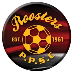 58mm Iron Back Pin Badges Full Colour Tin Front