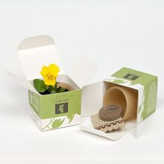 Biodegradable Cornstarch Pot Herb Kit with Five Seedsticks