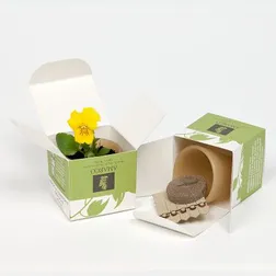 Biodegradable Cornstarch Pot Herb Kit with Five Seedsticks