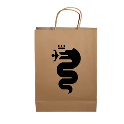 Kraft Paper Show Bag with Rope Handles