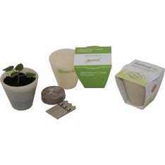 Recycled Board Grow Kit with Biodegradable Cornstarch Pot