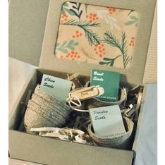Recycled Cardboard Five Seed Variety Growbox Kit
