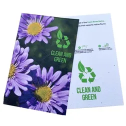 Plantable Wildflower Seed Paper Postcards with CMYK Printing