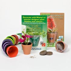 Recycled Board Desktop Herb Growing Kit