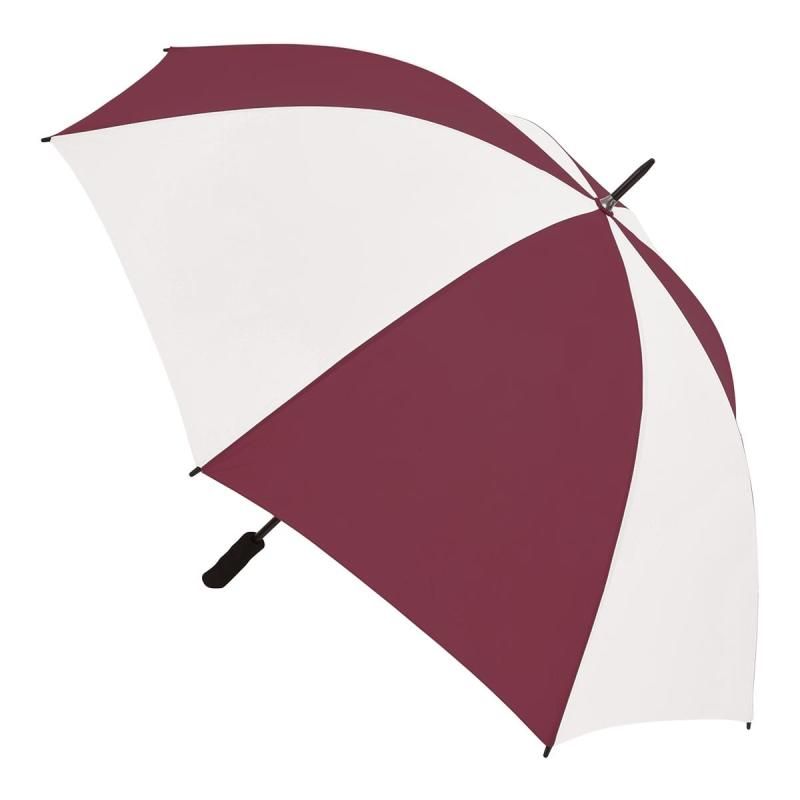 Burgundy/White