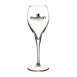 Monte Carlo Footed Clear Glass Wine Glasses 290ml