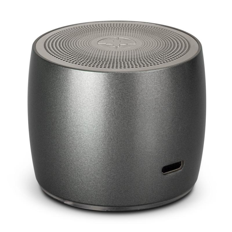 Speaker