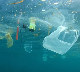 Whose responsibility is it to stop the major pollution hazard being caused by disposable coffee cups?